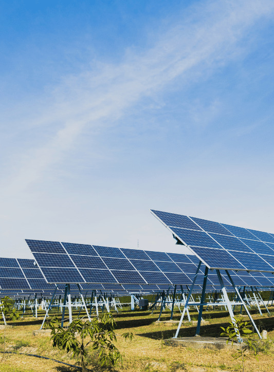 Solarni paneli postavljeni na otvorenom polju pod plavim nebom.